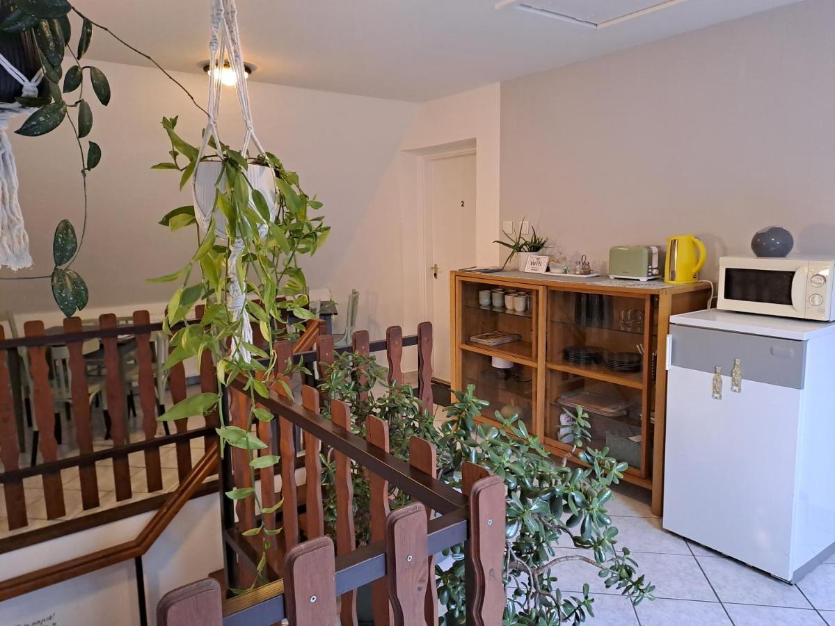 Diokert Vendeghaz Sopron Bed & Breakfast ภายนอก รูปภาพ